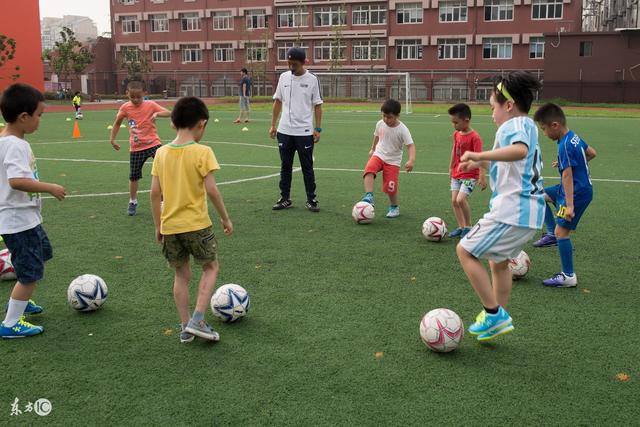 瑞士前国脚维加将挑战因凡蒂诺竞选FIFA主席